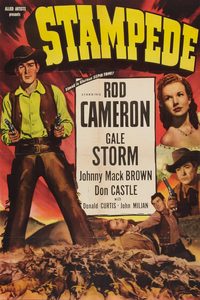 Stampede poster