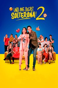 Don't Call Me Spinster 2 poster