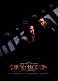 The Misunderstanding poster