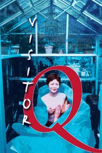 Visitor Q poster