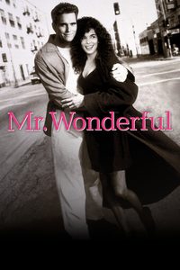 Mr. Wonderful poster