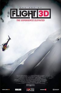 The Art of Flight poster