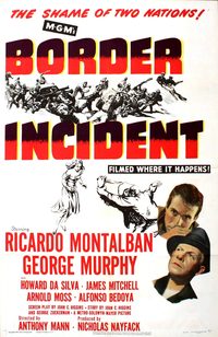 Border Incident poster