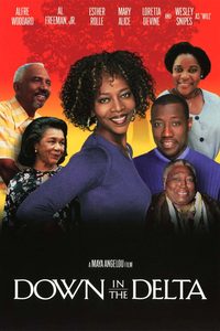 Down in the Delta poster