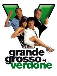 Grande, grosso e Verdone poster