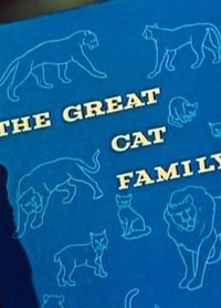 The Great Cat Family poster