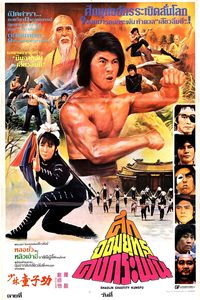 Shaolin Chastity Kung Fu poster