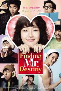 Finding Mr. Destiny poster