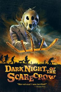 Dark Night of the Scarecrow poster