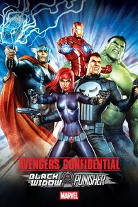 Avengers Confidential: Black Widow & Punisher poster