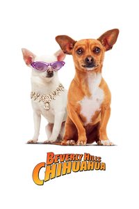 Beverly Hills Chihuahua