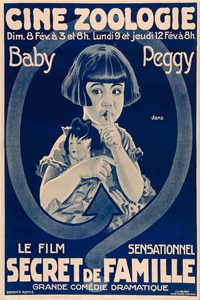 The Family Secret poster