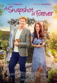 A Snapshot of Forever poster