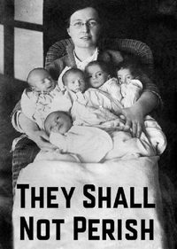 They Shall Not Perish poster