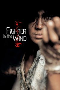 Fighter in the Wind