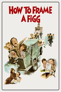 How to Frame a Figg poster