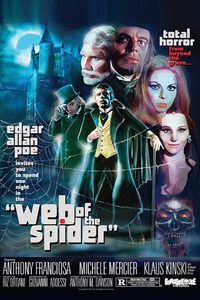 Web of the Spider poster