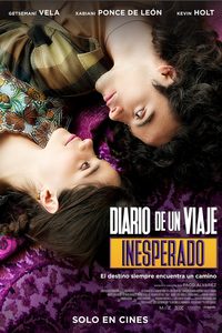 Diario de un viaje inesperado poster