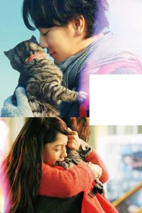 If Cats Disappeared from the World poster