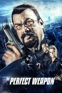 The Perfect Weapon poster