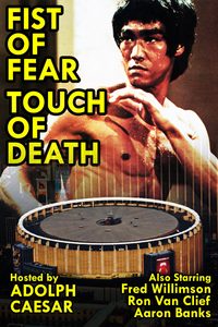 Fist of Fear, Touch of Death poster