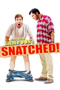 Snatched poster