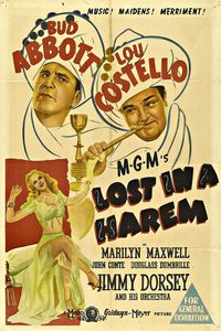 Lost in a Harem poster