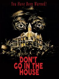 Don't Go in the House poster