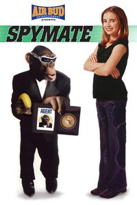 Spymate poster