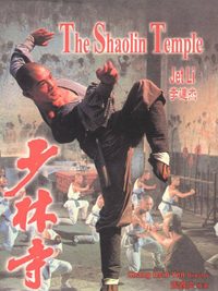 Shaolin Temple poster