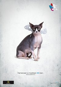Lovemakers poster