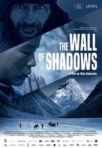 The Wall of Shadows