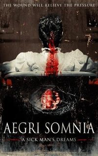 Aegri Somnia poster