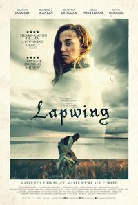 Lapwing poster