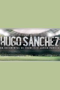 Hugoool! poster