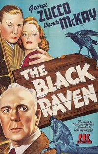 The Black Raven poster