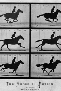 Sallie Gardner at a Gallop poster