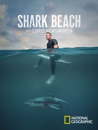 Shark Beach with Chris Hemsworth poster