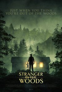 Stranger in the Woods poster