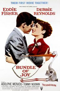 Bundle of Joy poster