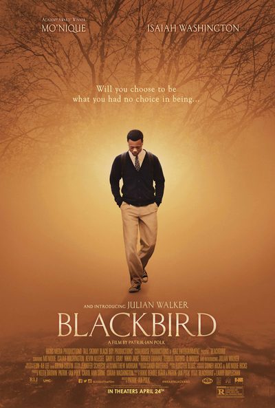 Blackbird poster