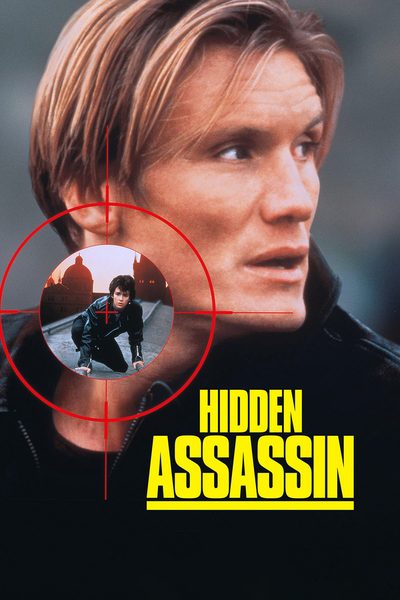 Hidden Assassin poster