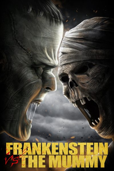 Frankenstein vs. The Mummy poster