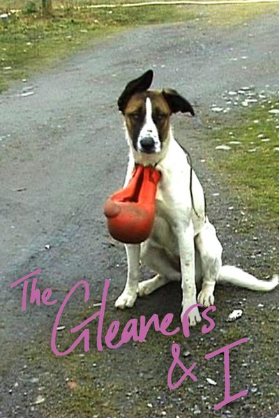 The Gleaners & I poster