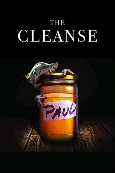 The Cleanse poster