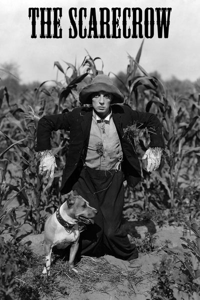 The Scarecrow poster