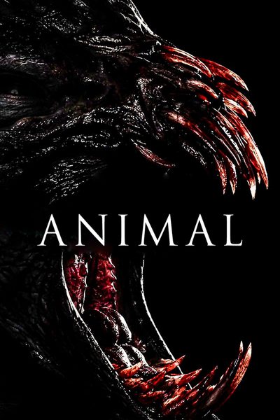 Animal poster