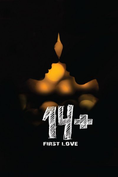 14+ poster