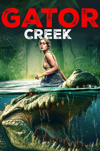 The Bayou poster