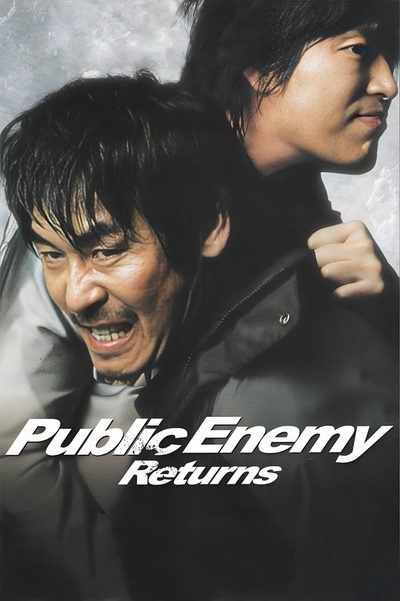 Public Enemy 3 poster